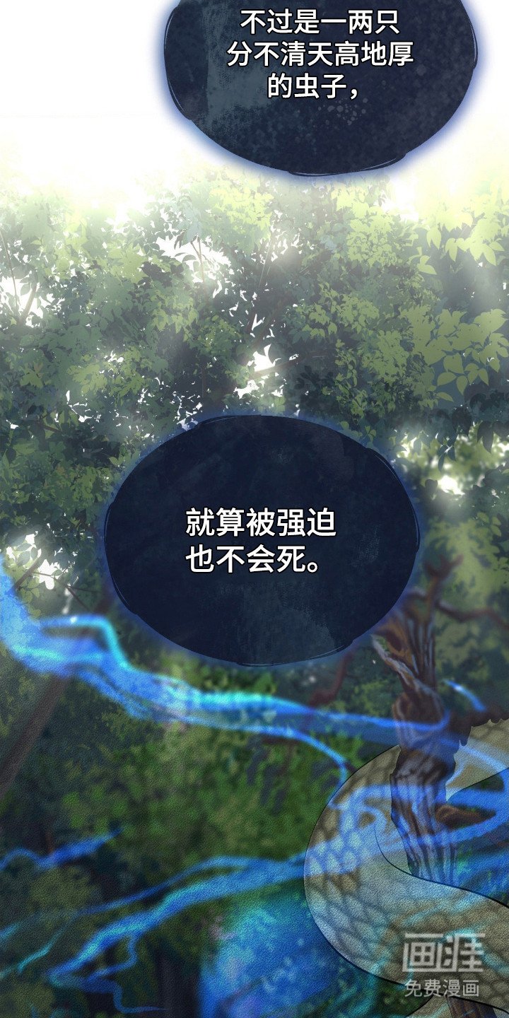 第4章：宝珠