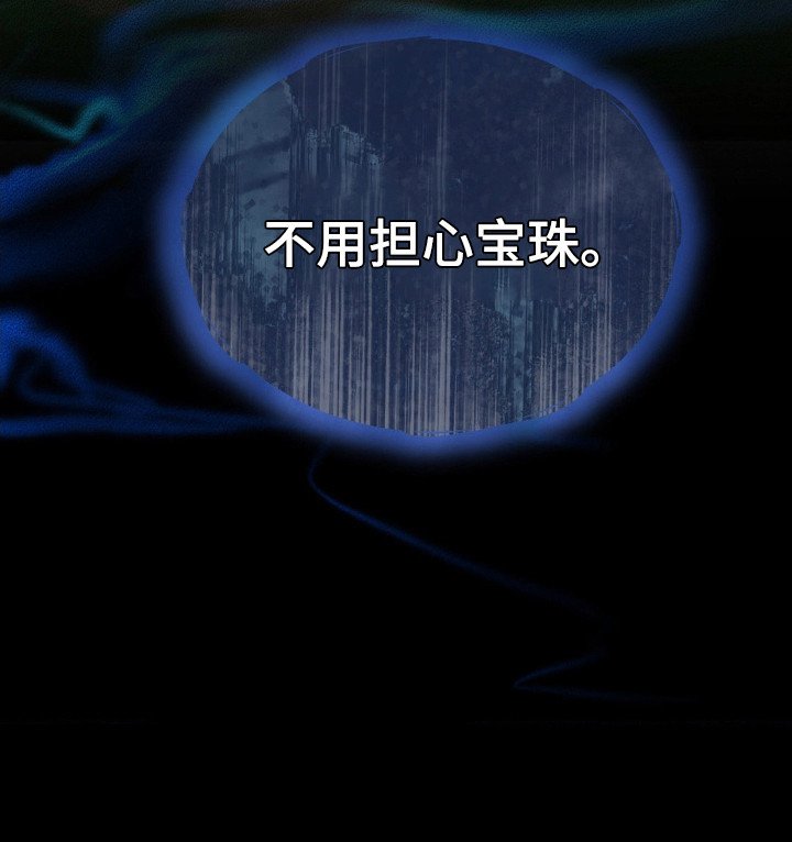 第4章：宝珠
