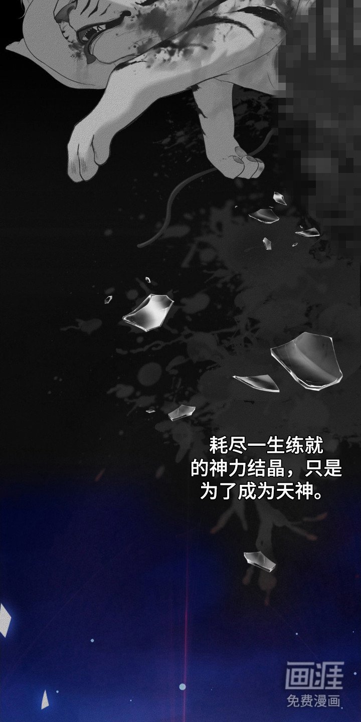 第4章：宝珠
