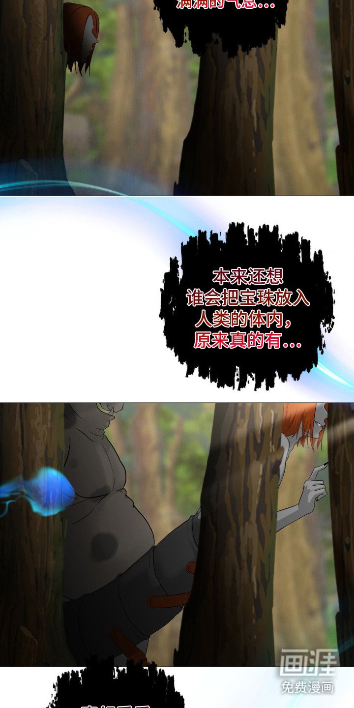 第4章：宝珠