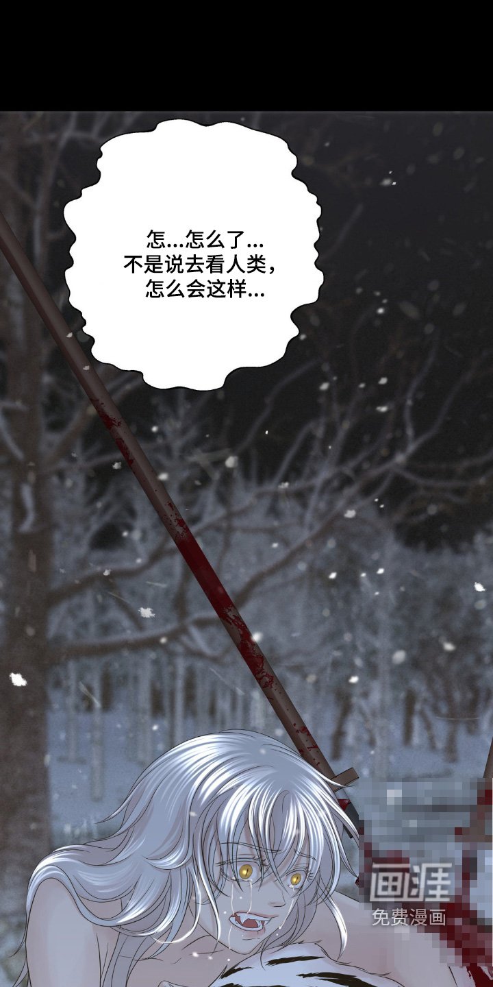第46章：你是我们希望