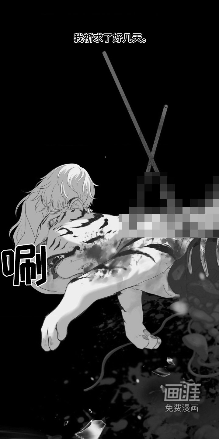 第47章：都怪你们