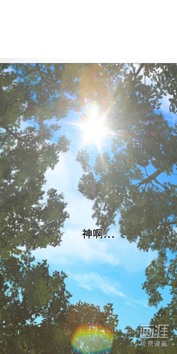 第6章：拯救