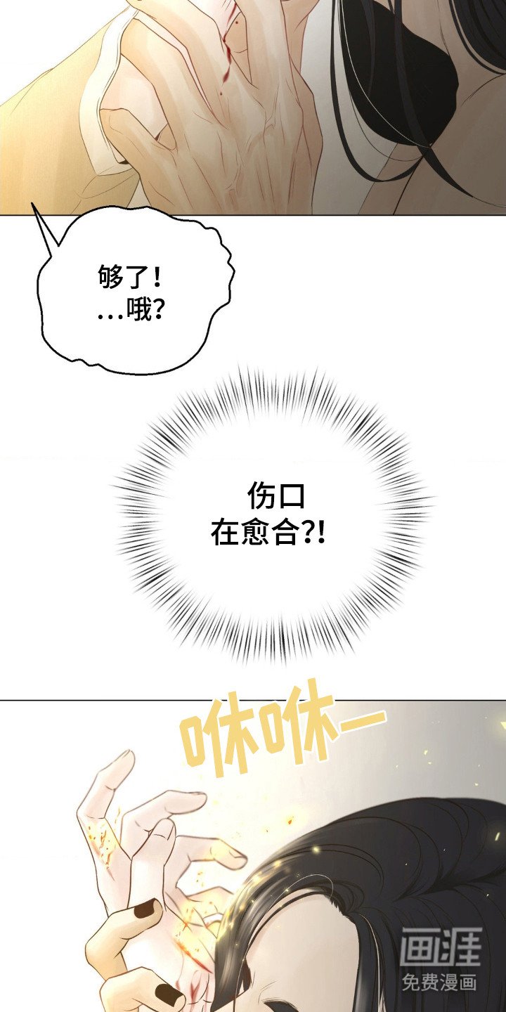 第8章：愈合