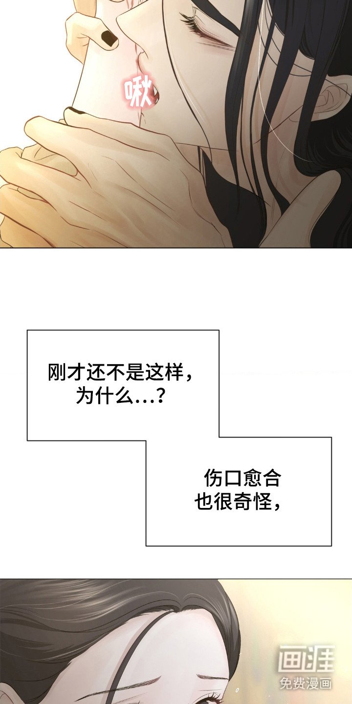 第8章：愈合