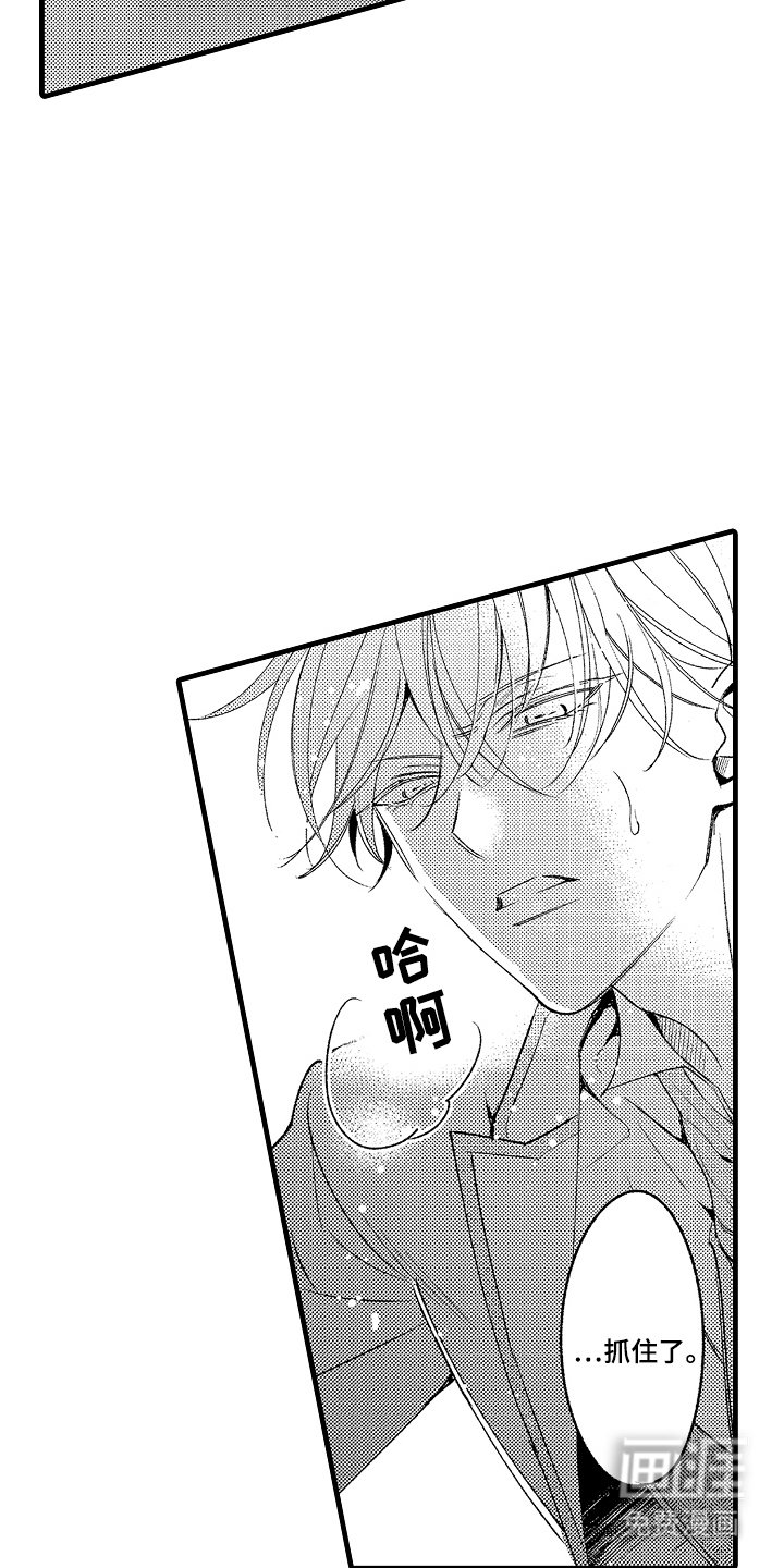 第21章：传达给你