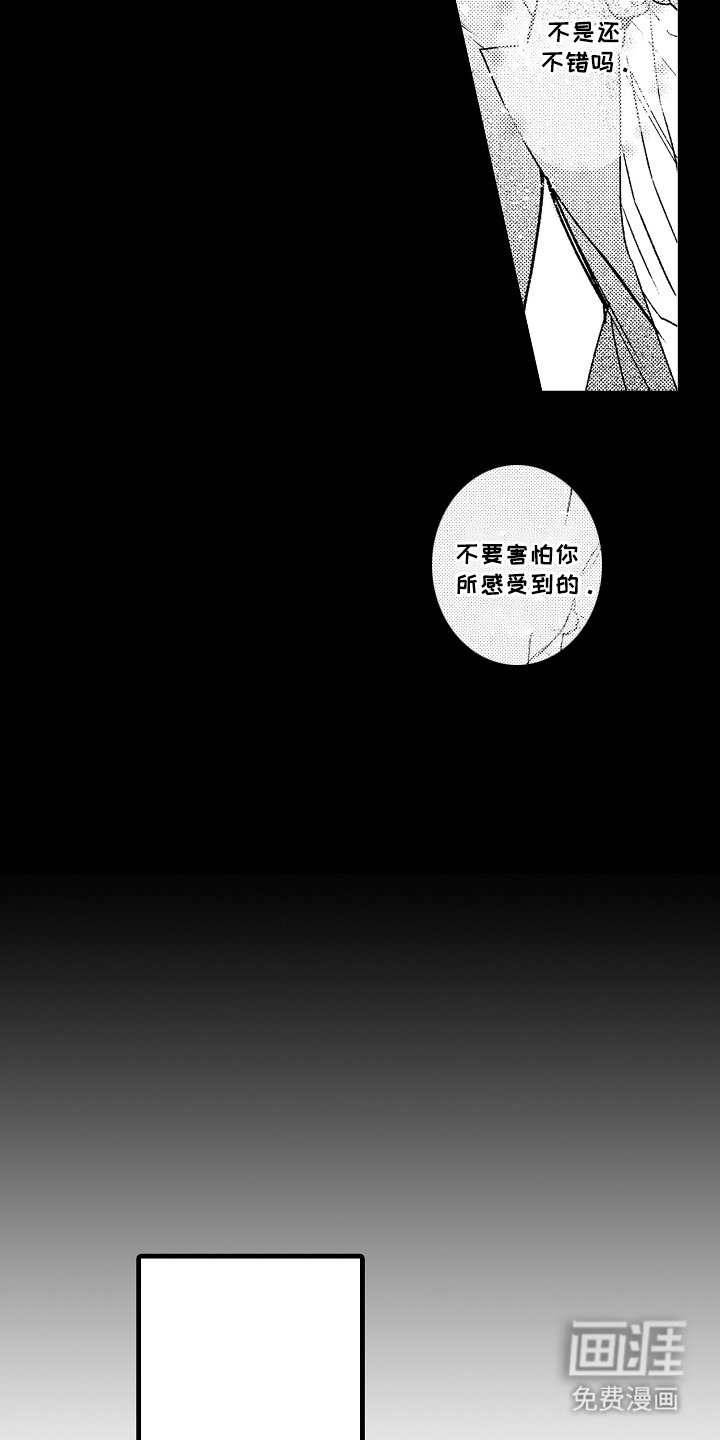 第5章：野猫