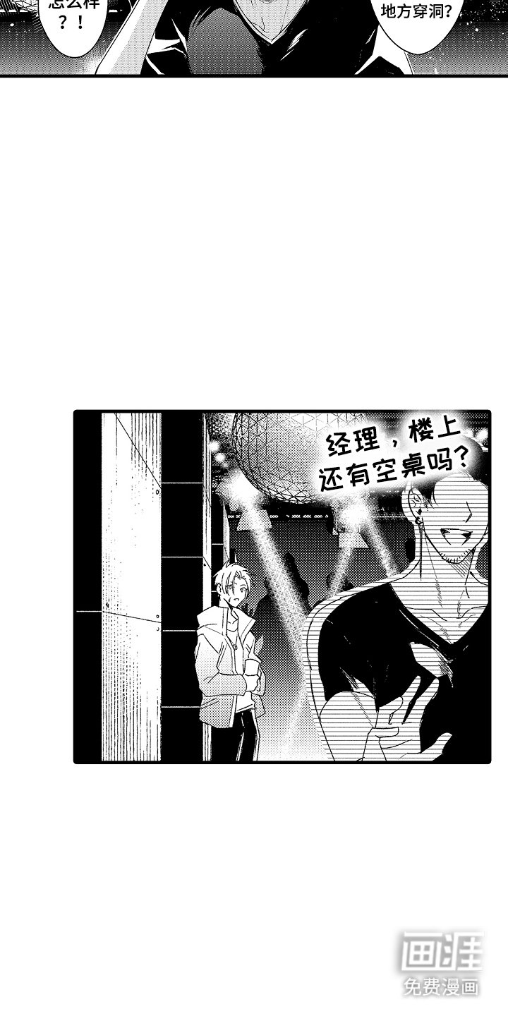 第5章：野猫