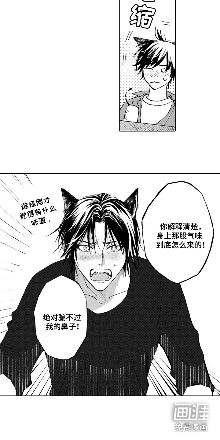 第16章：问题所在