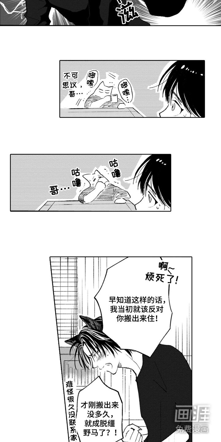 第16章：问题所在