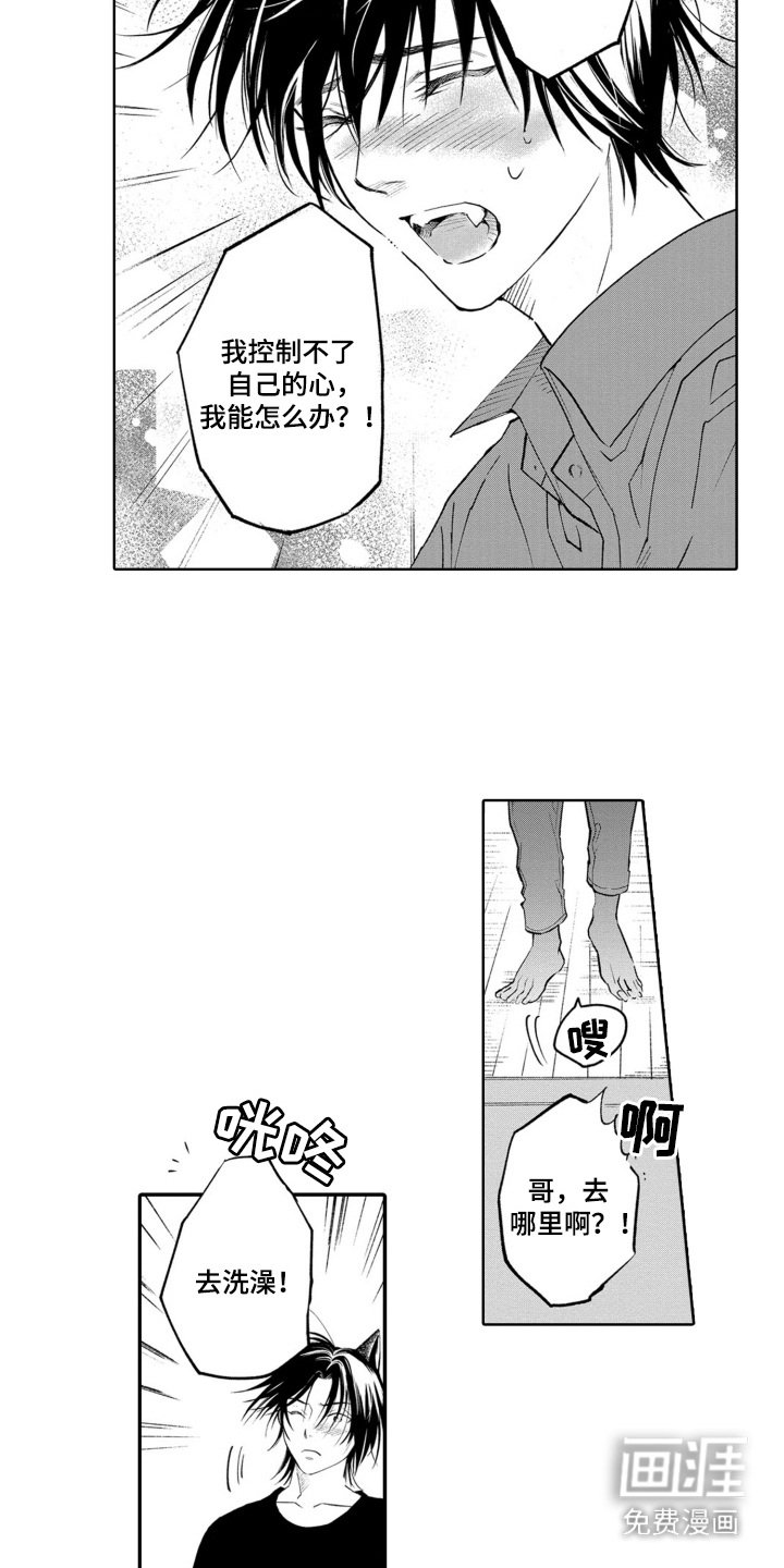 第17章：反驳