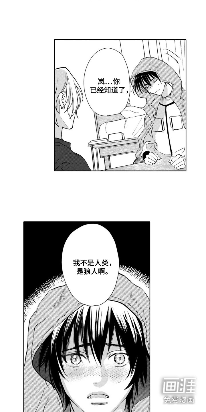 第28章：坦白