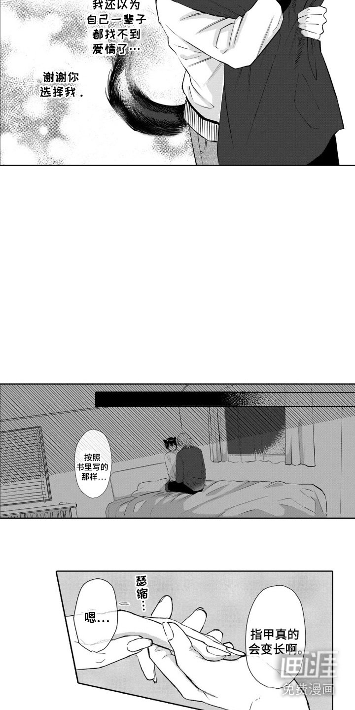 第29章：表明心意