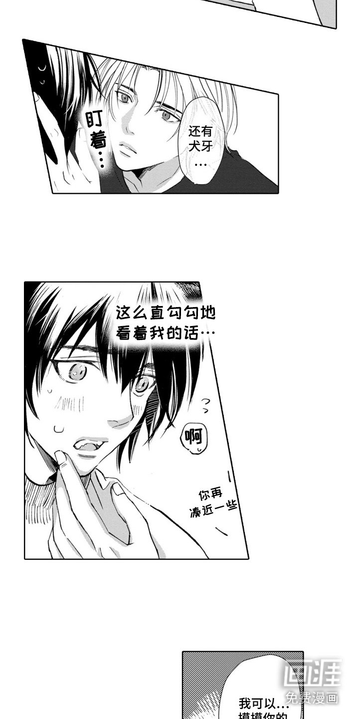 第29章：表明心意