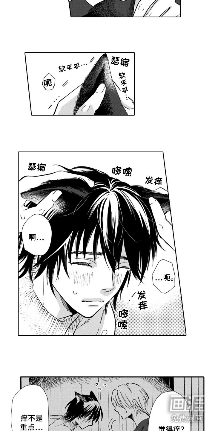 第29章：表明心意