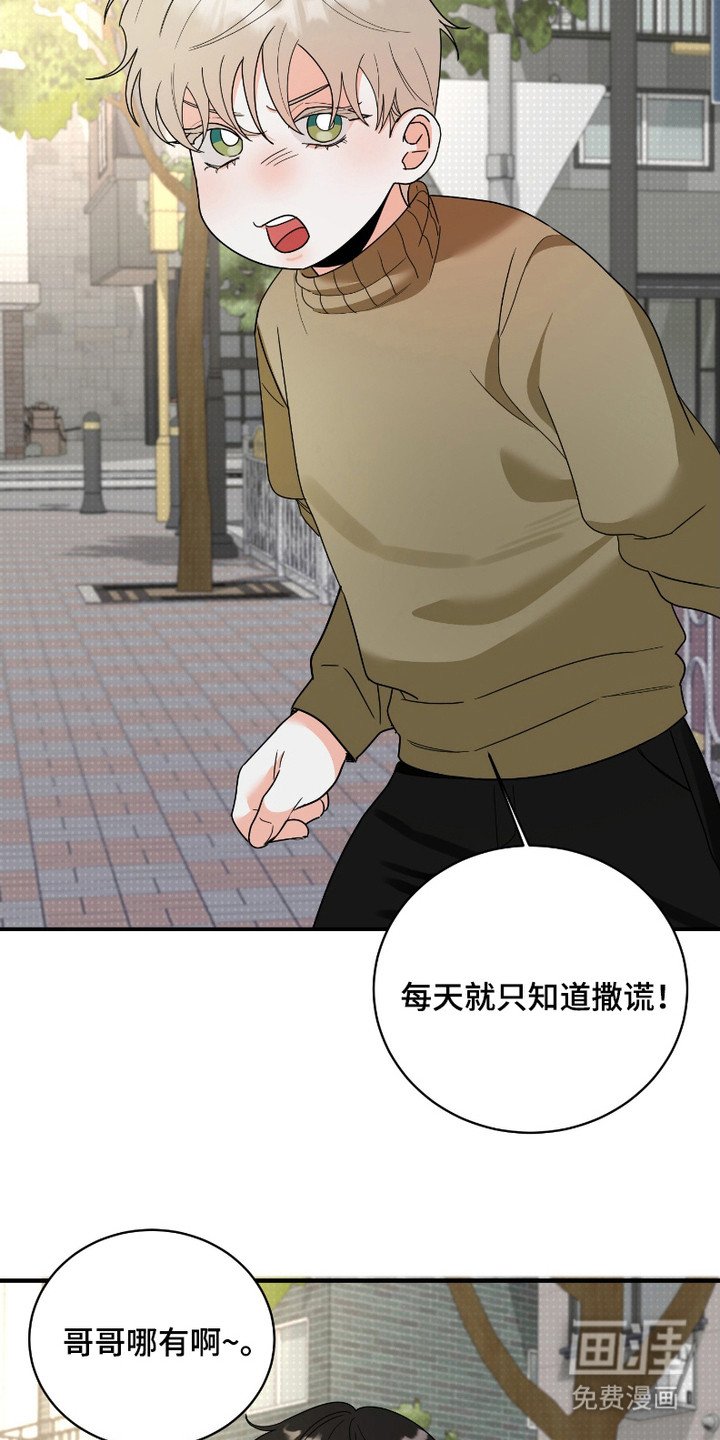 第12章：做梦