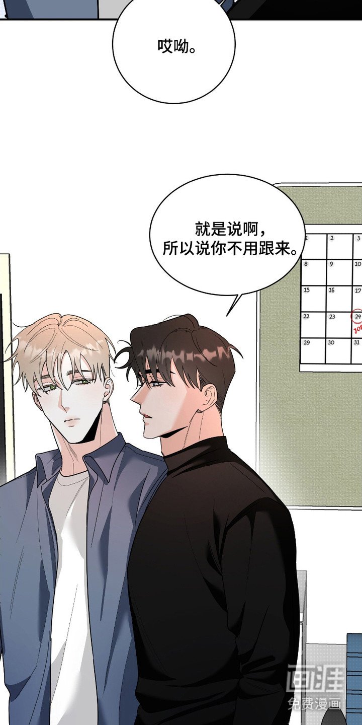 第5章：定期检查