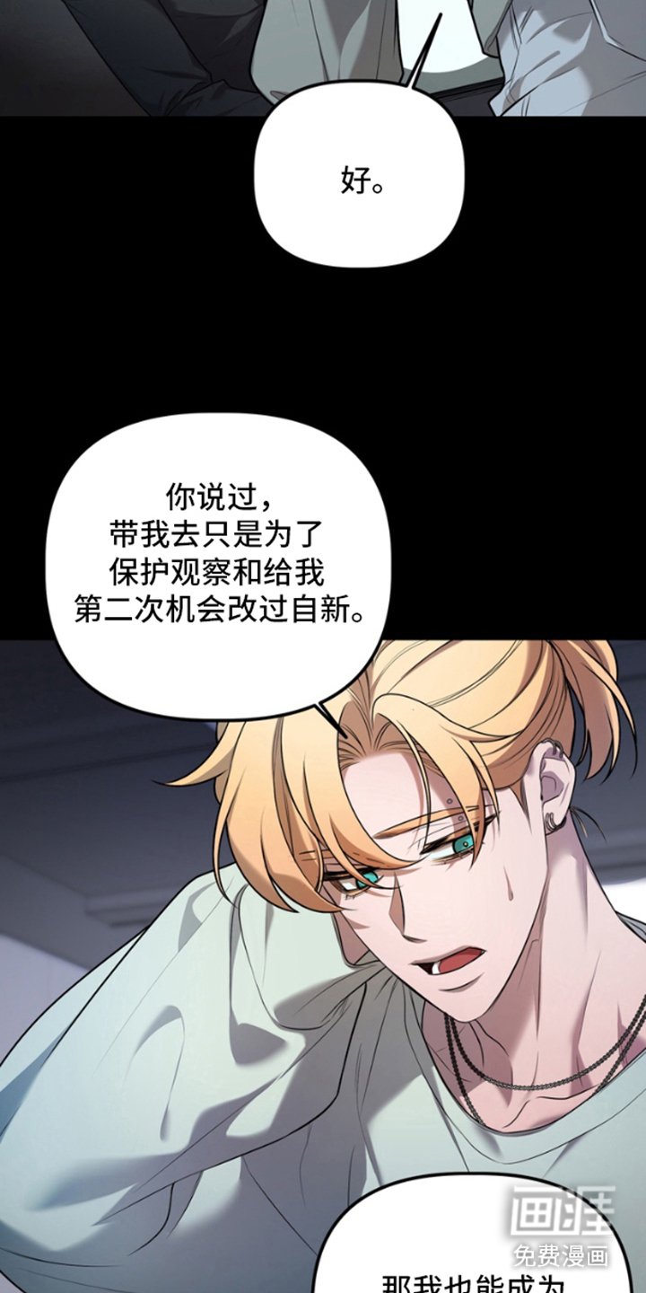 第13章：不需要