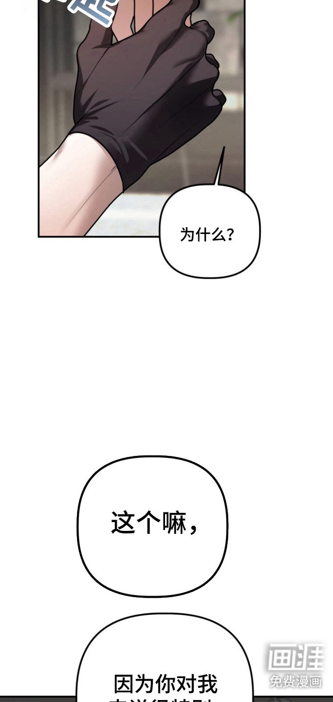 第26章：诚实一点