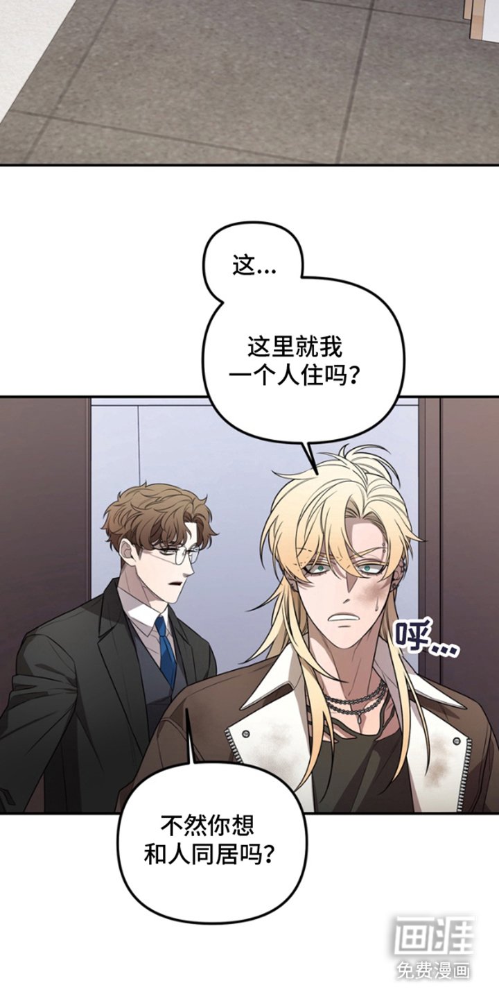 第4章：为什么是我