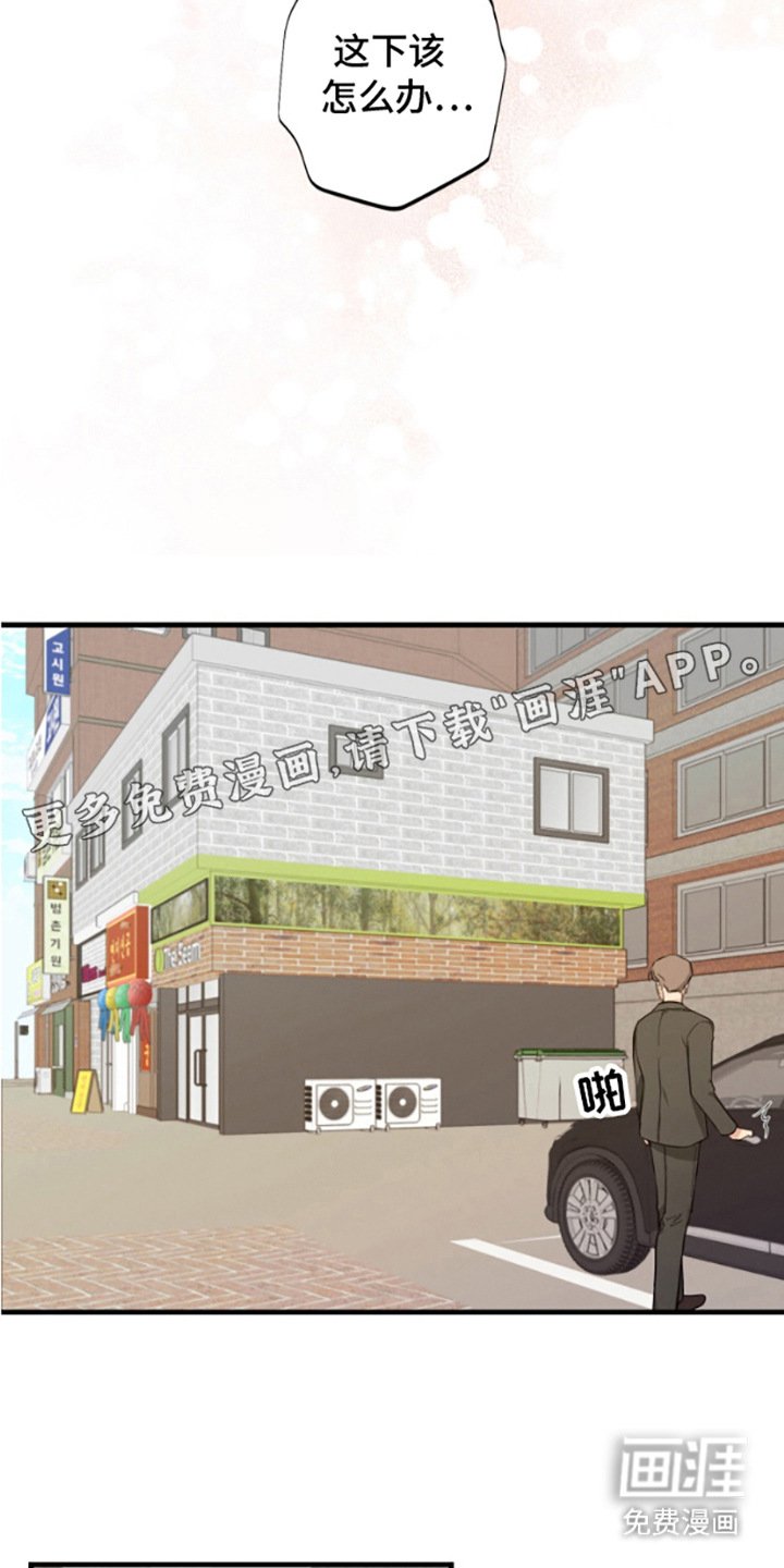 第10章：汇报