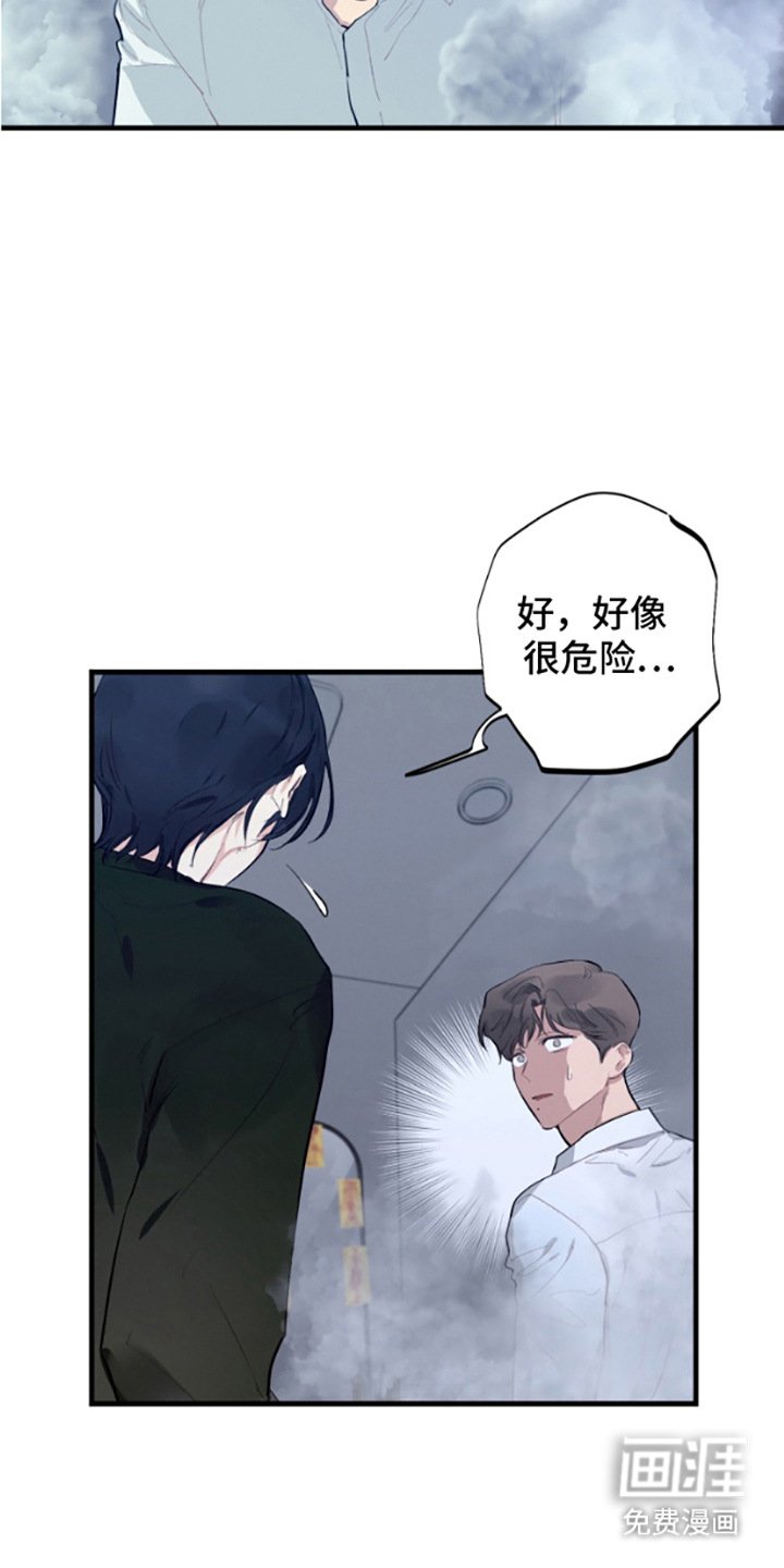 第13章：烟气