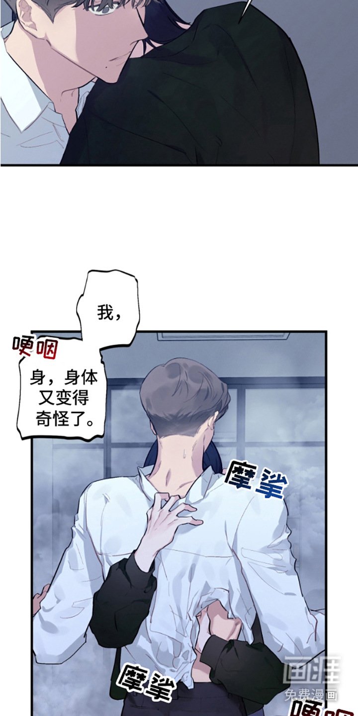 第13章：烟气
