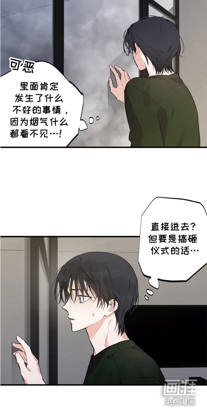 第13章：烟气