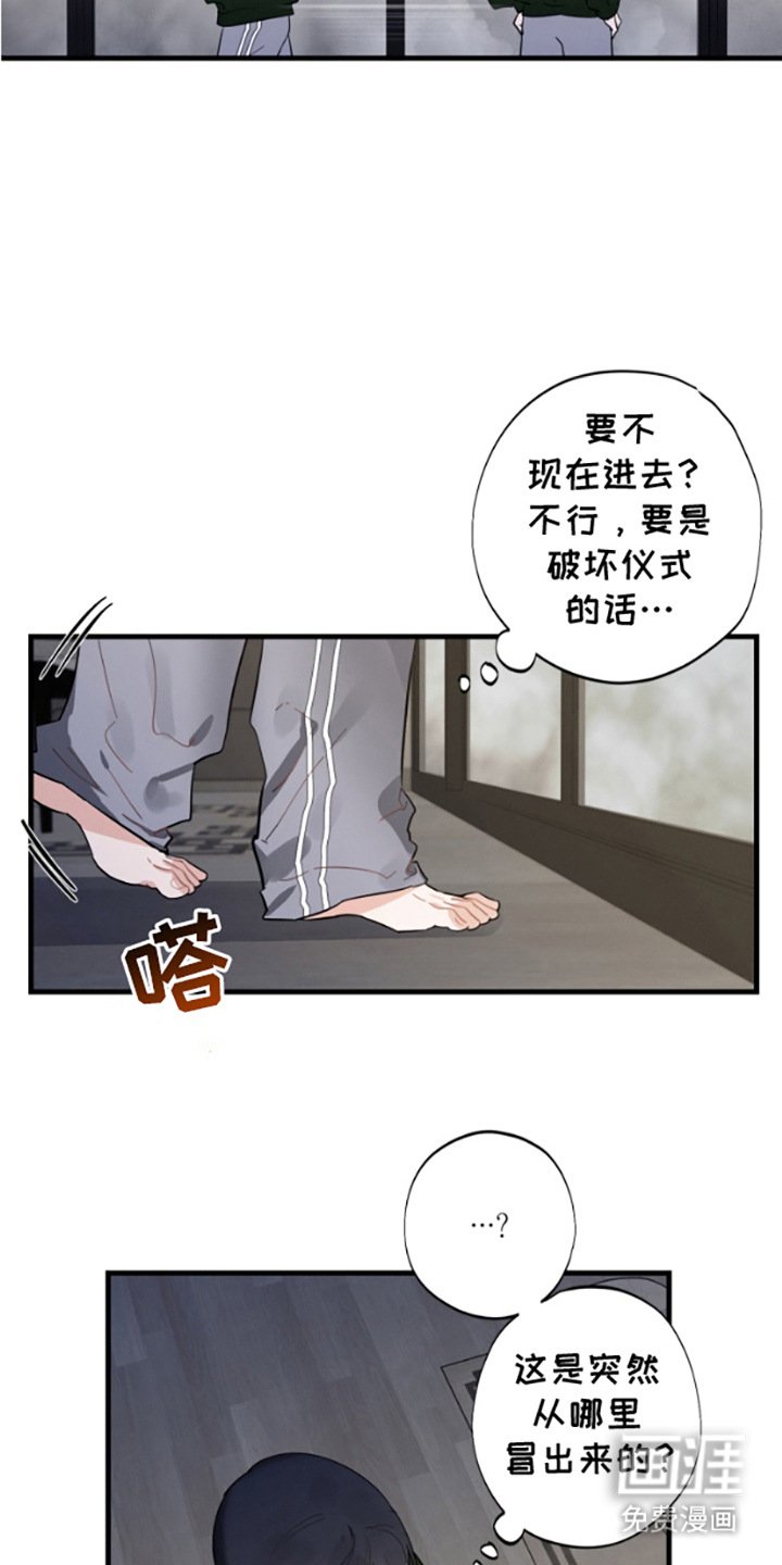 第15章：护身符