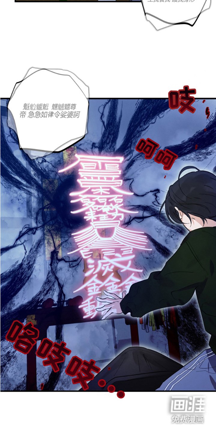 第15章：护身符