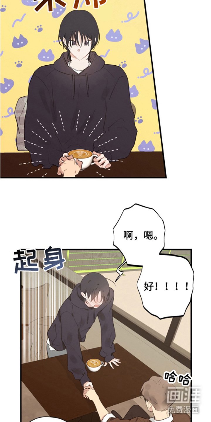 第17章：表白
