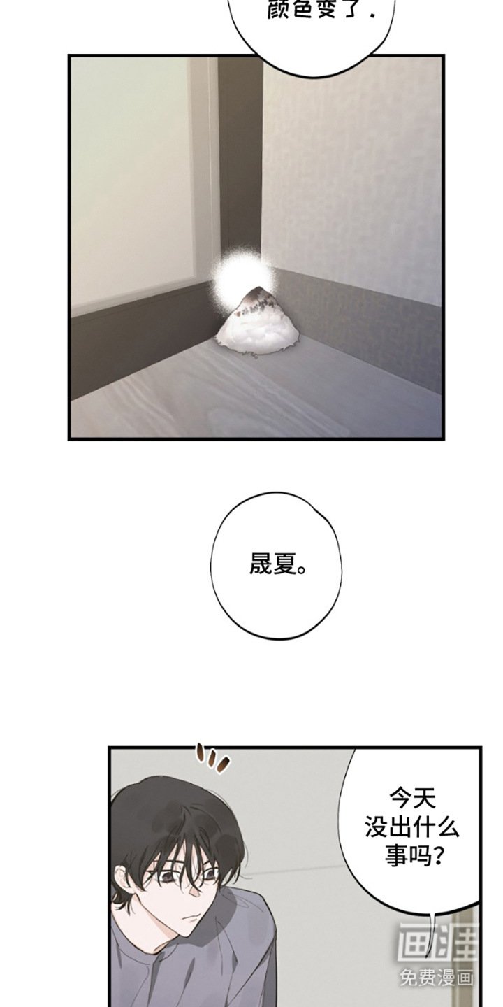 第4章： 倒霉事