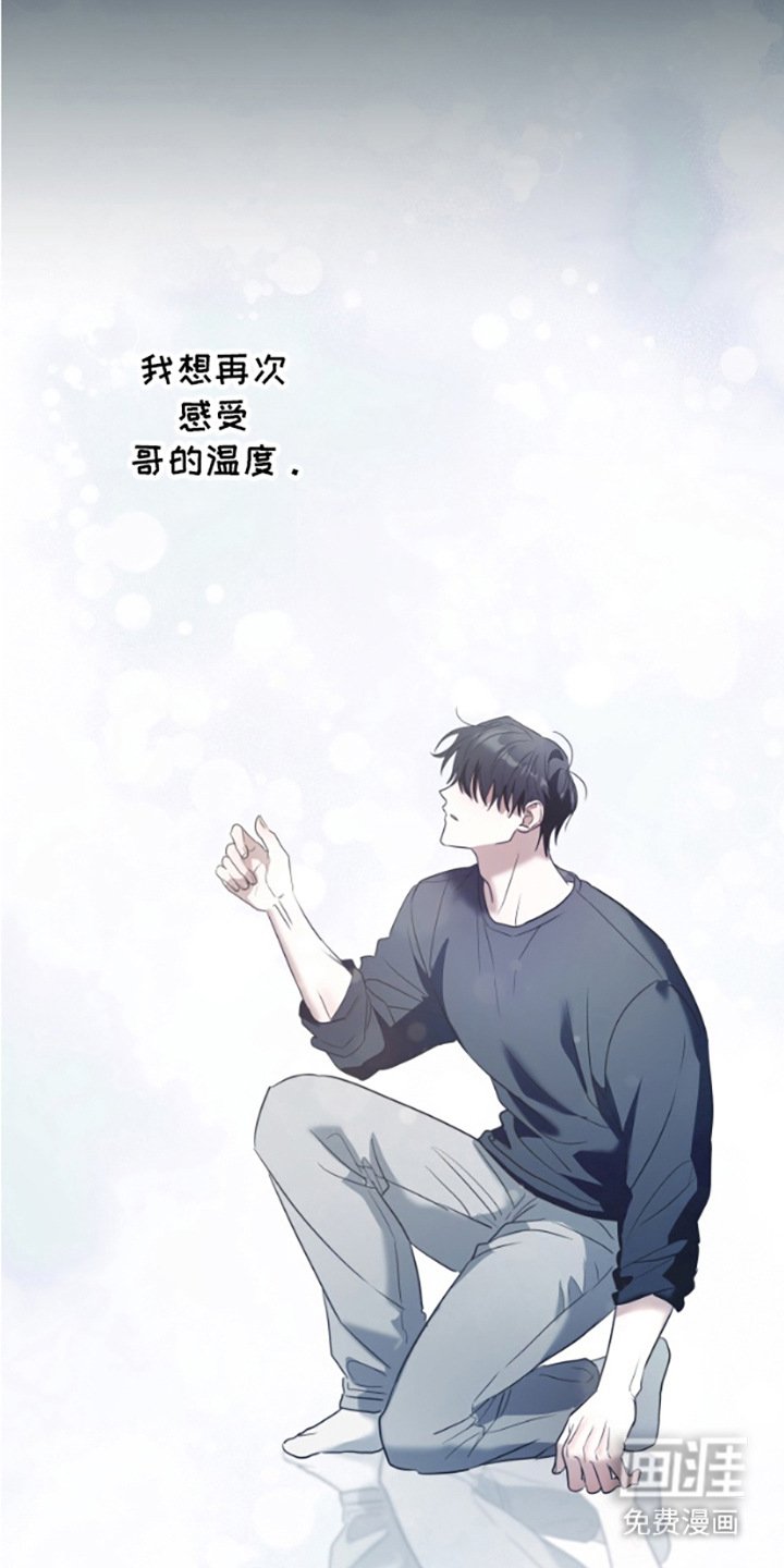 第11章：幻影