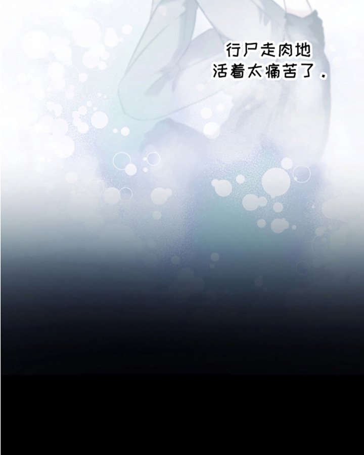 第11章：幻影
