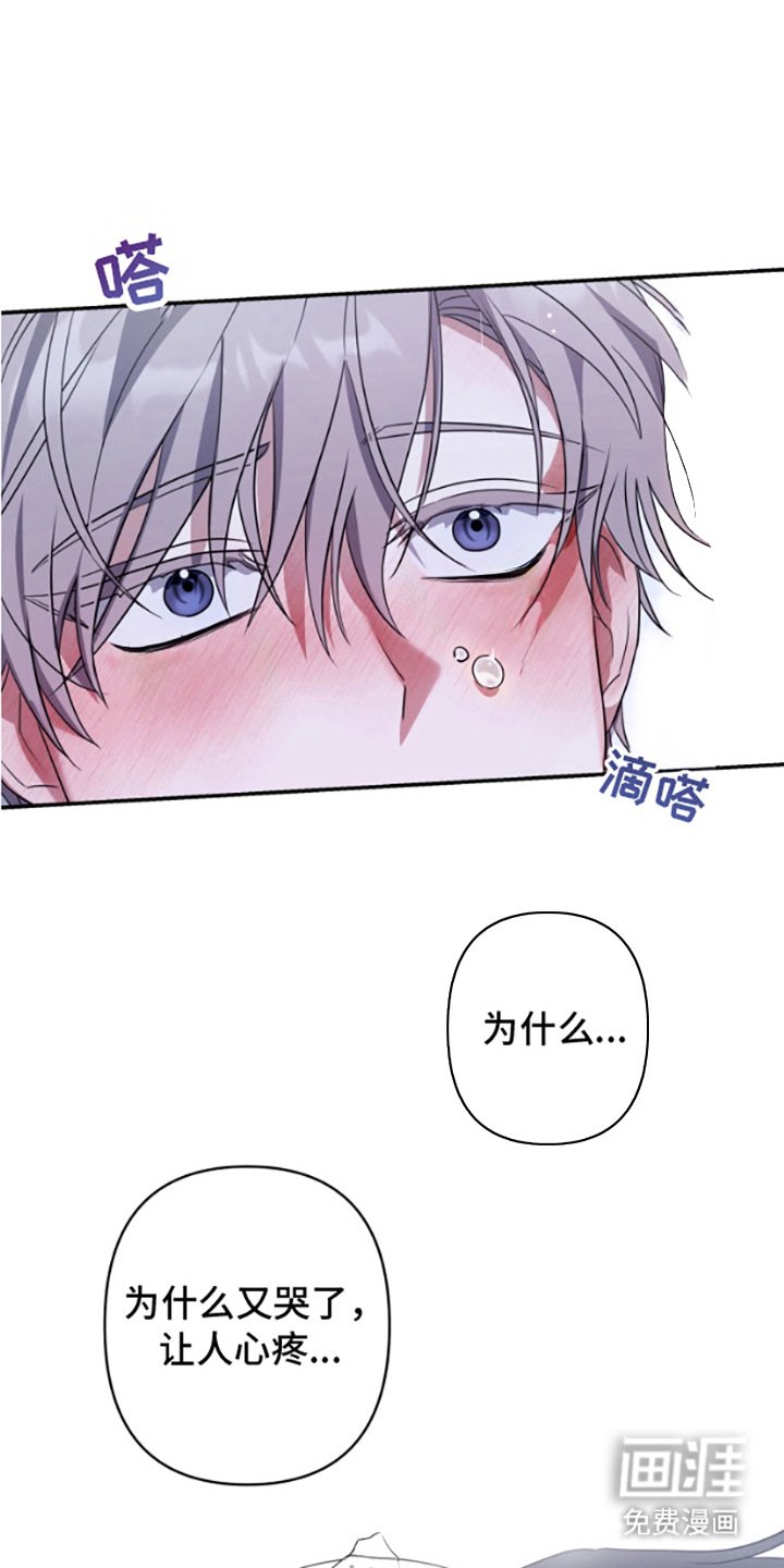 第13章：真心的