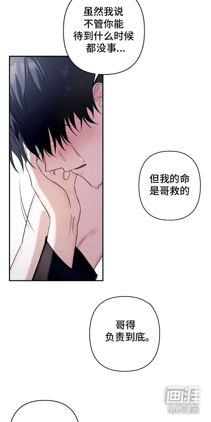第13章：真心的