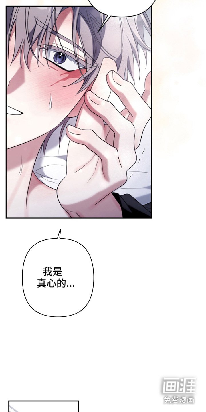 第13章：真心的