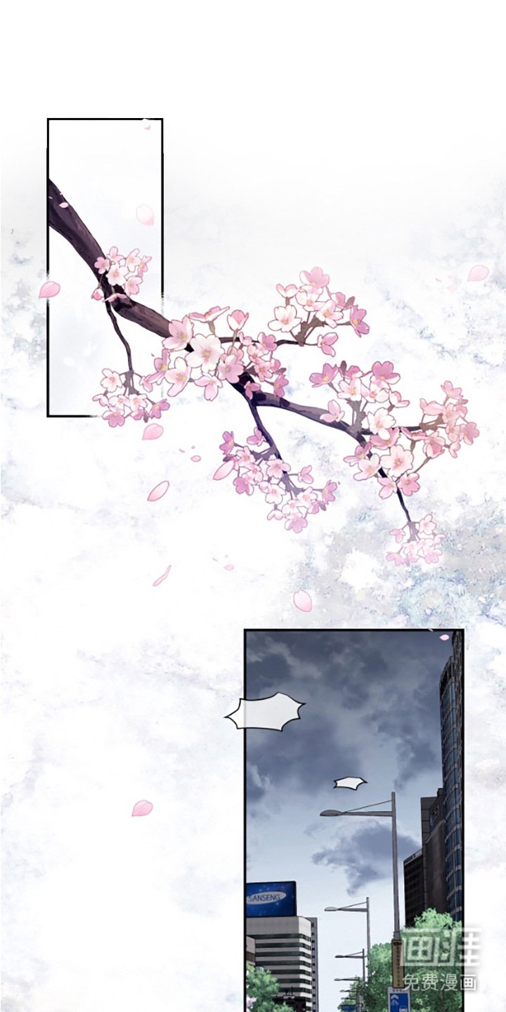 第4章：五年后