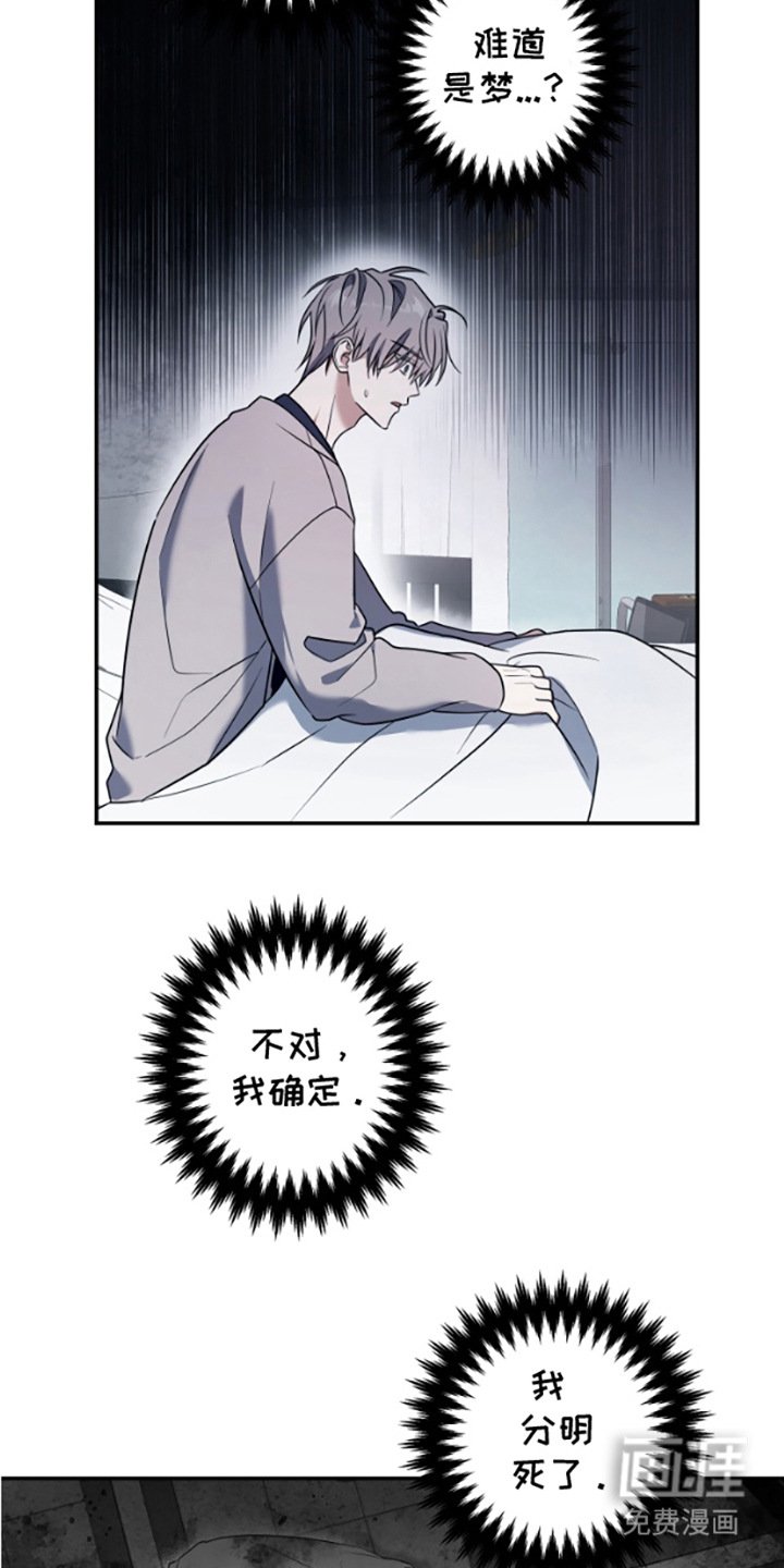 第4章：五年后
