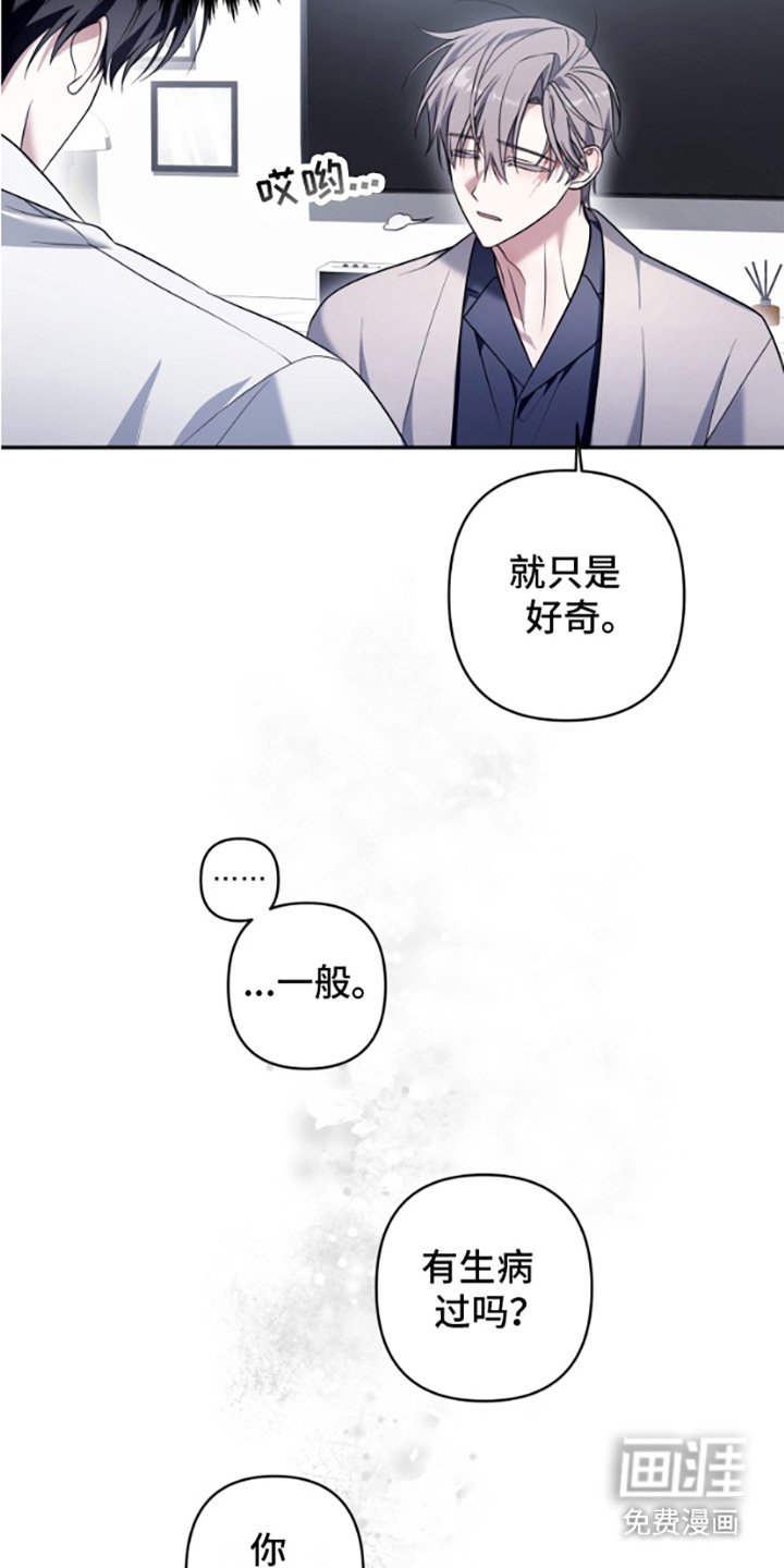 第7章：展示厨艺