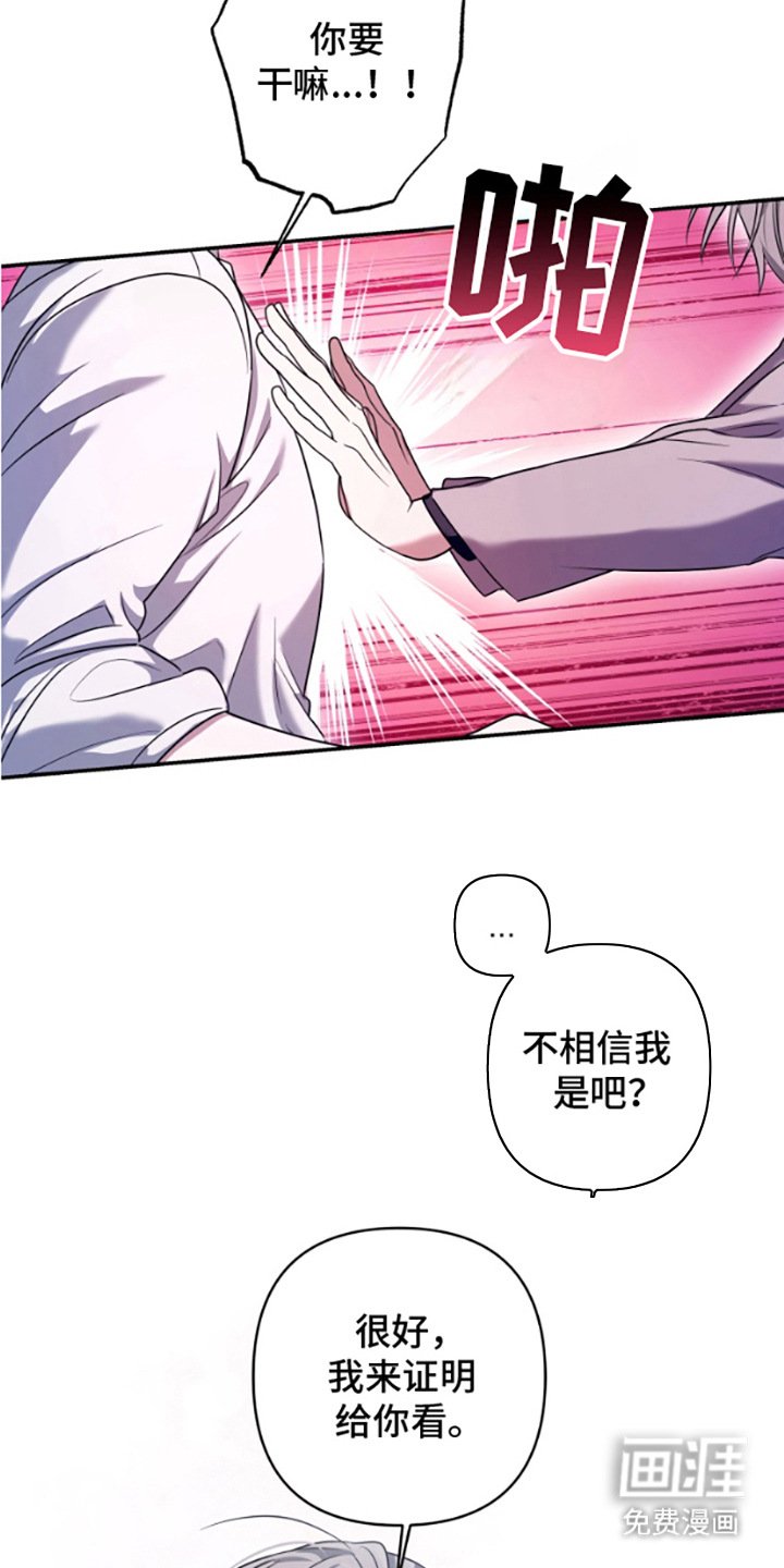 第8章：证明