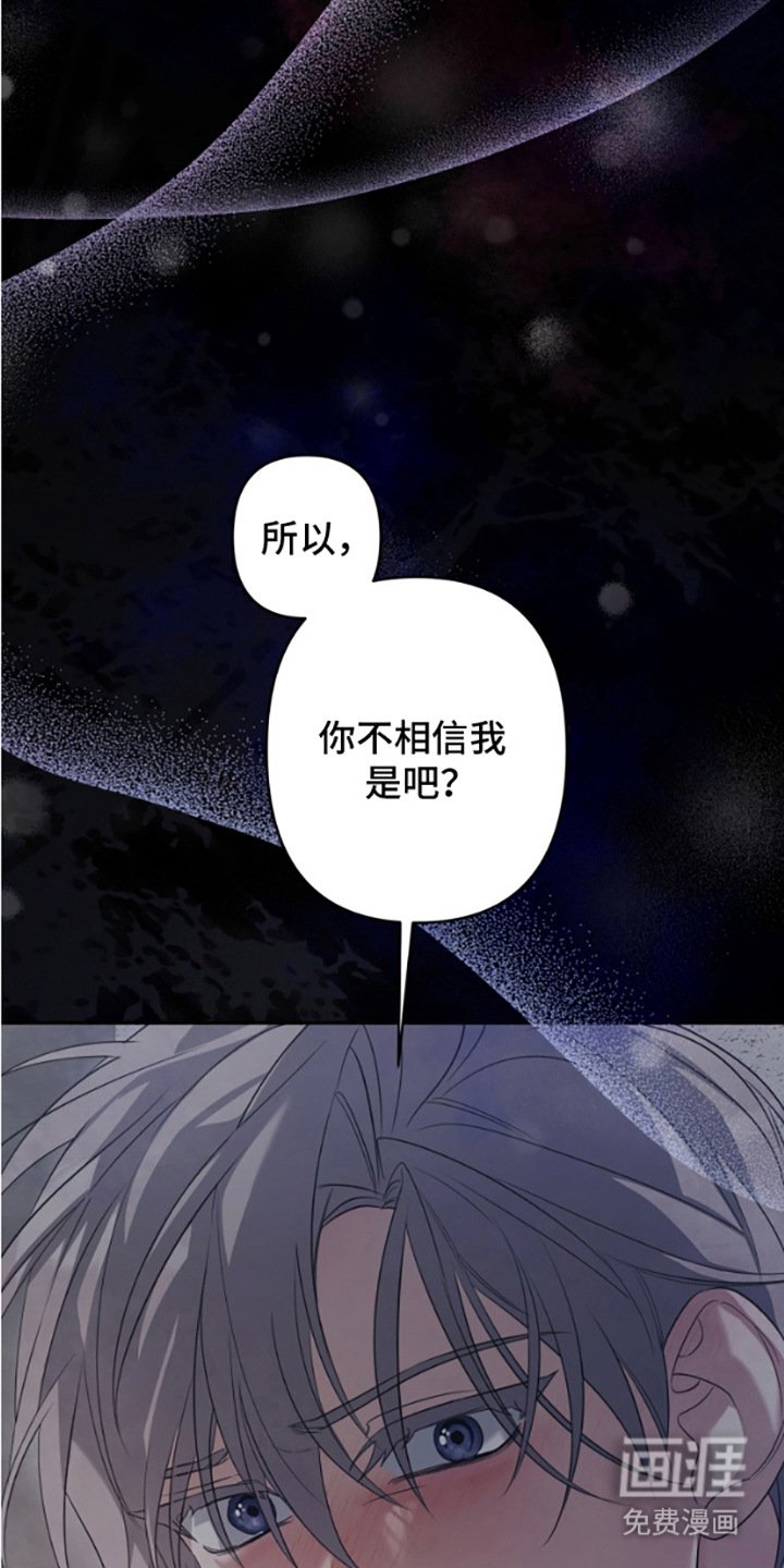 第8章：证明