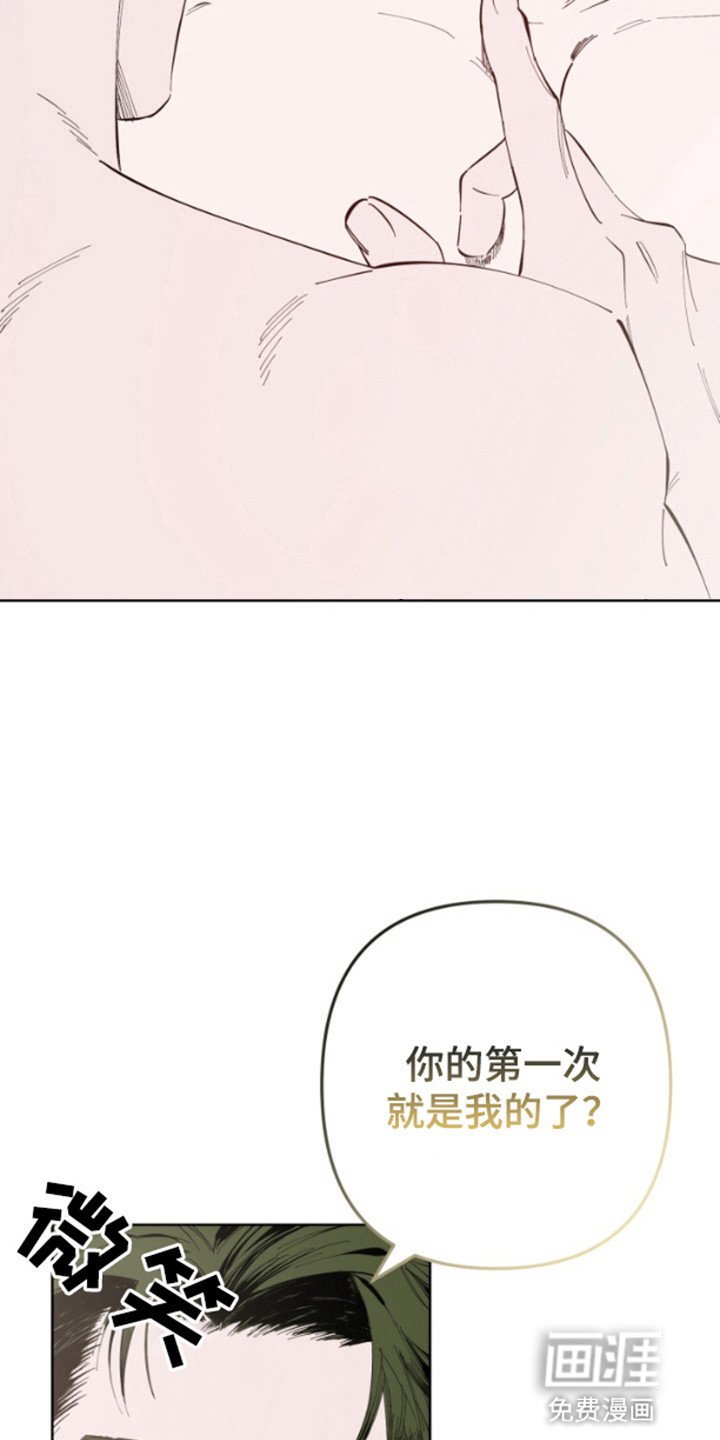 第3章：带偏