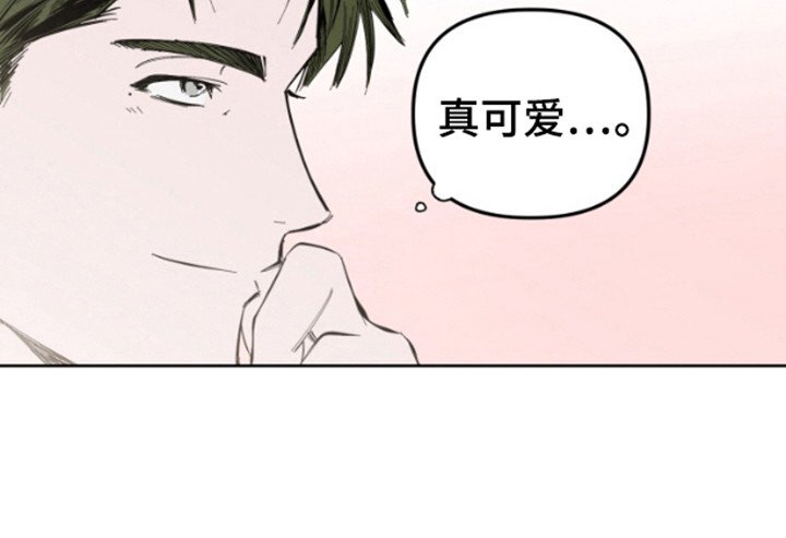 第3章：带偏