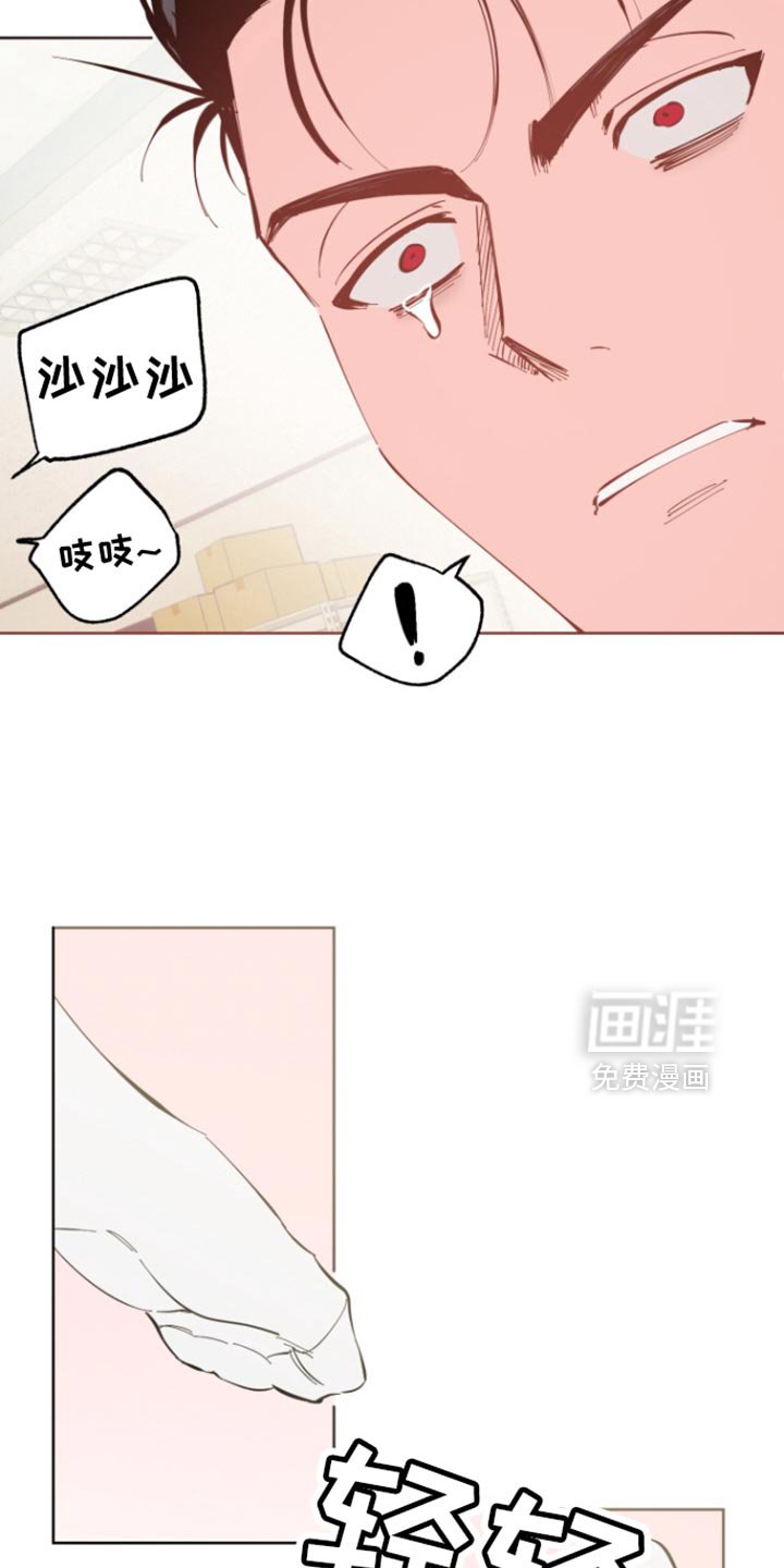 第8章：欺负