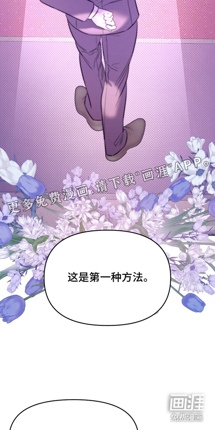 第11章：方案