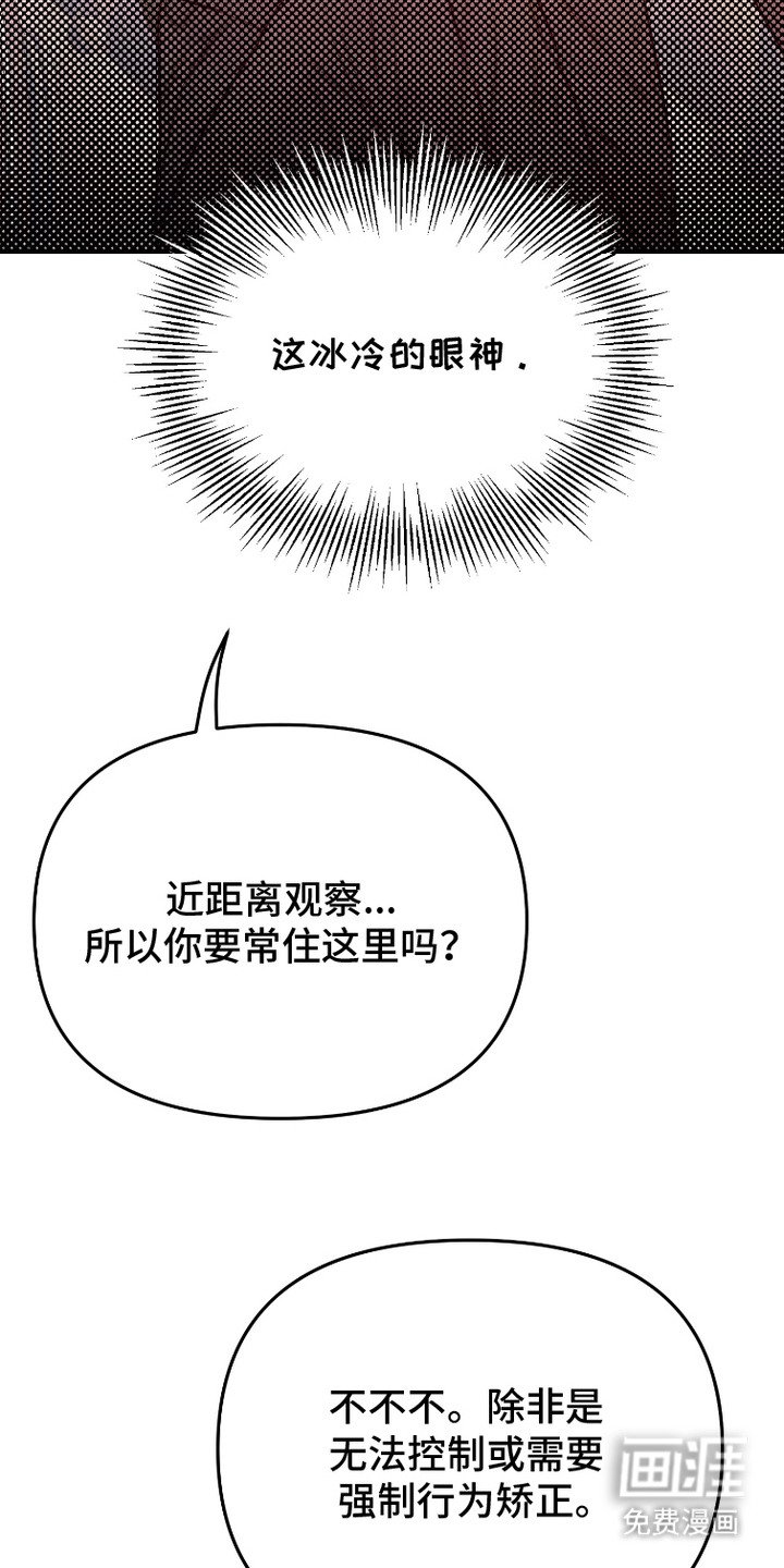 第11章：方案