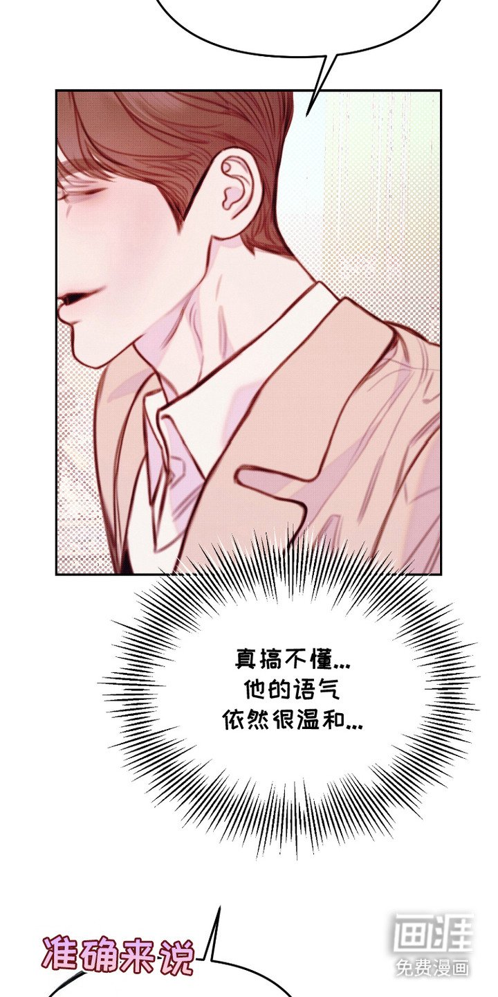 第11章：方案