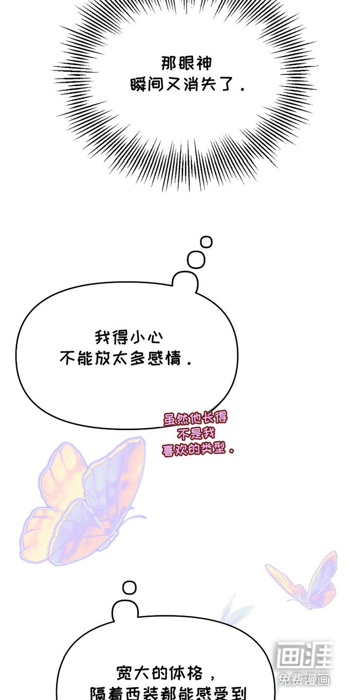 第11章：方案