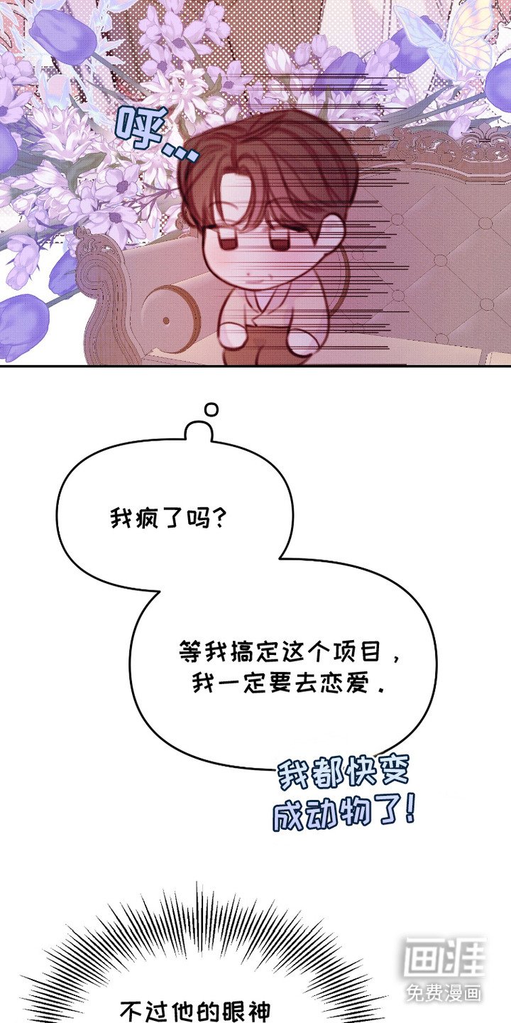 第11章：方案